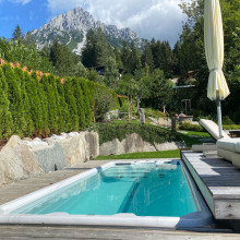 Swim Spas